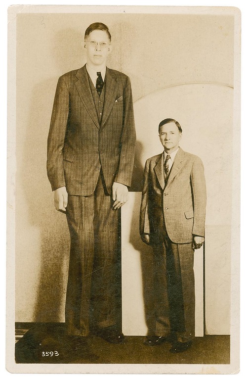 the tallest man in history