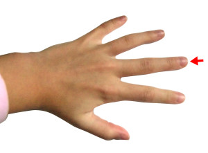 Hand_-_Middle_finger