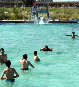 Mosul-swimming