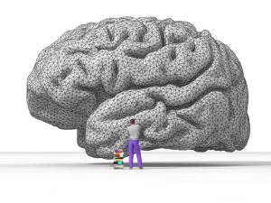 "Nicolas P. Rougier's rendering of the human brain" by Nicolas P.Rougier is licensed under GNU General Public License