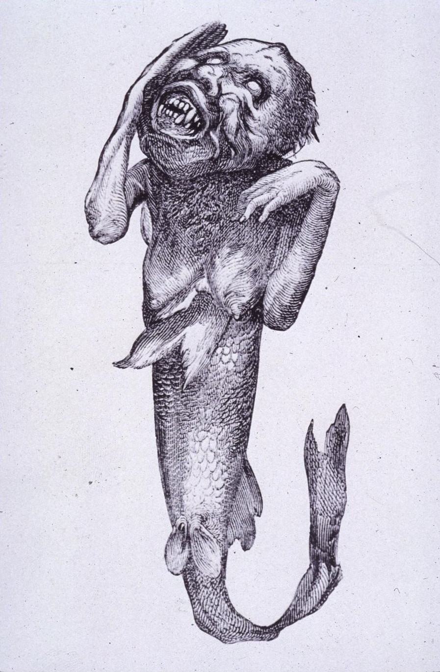Barnum Fidschi Meerjungfrau
