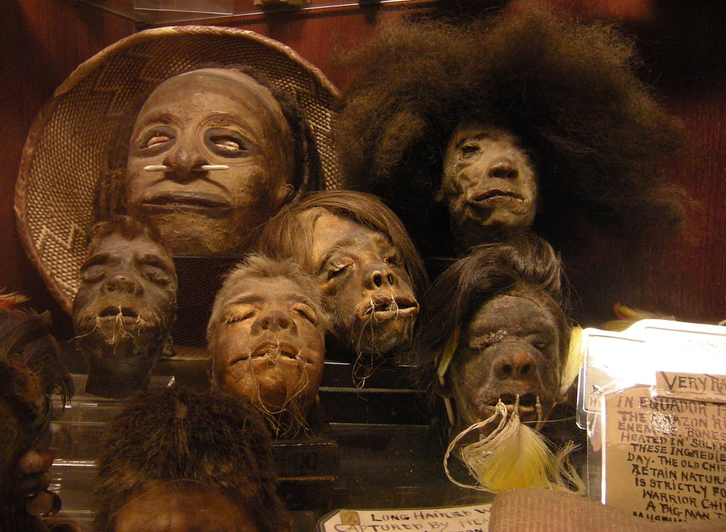 Seattle Curiosity Shop Shrunken Heads