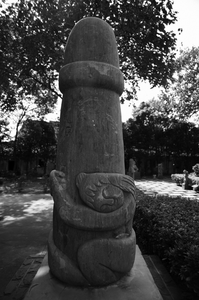 Woman Around A Penis