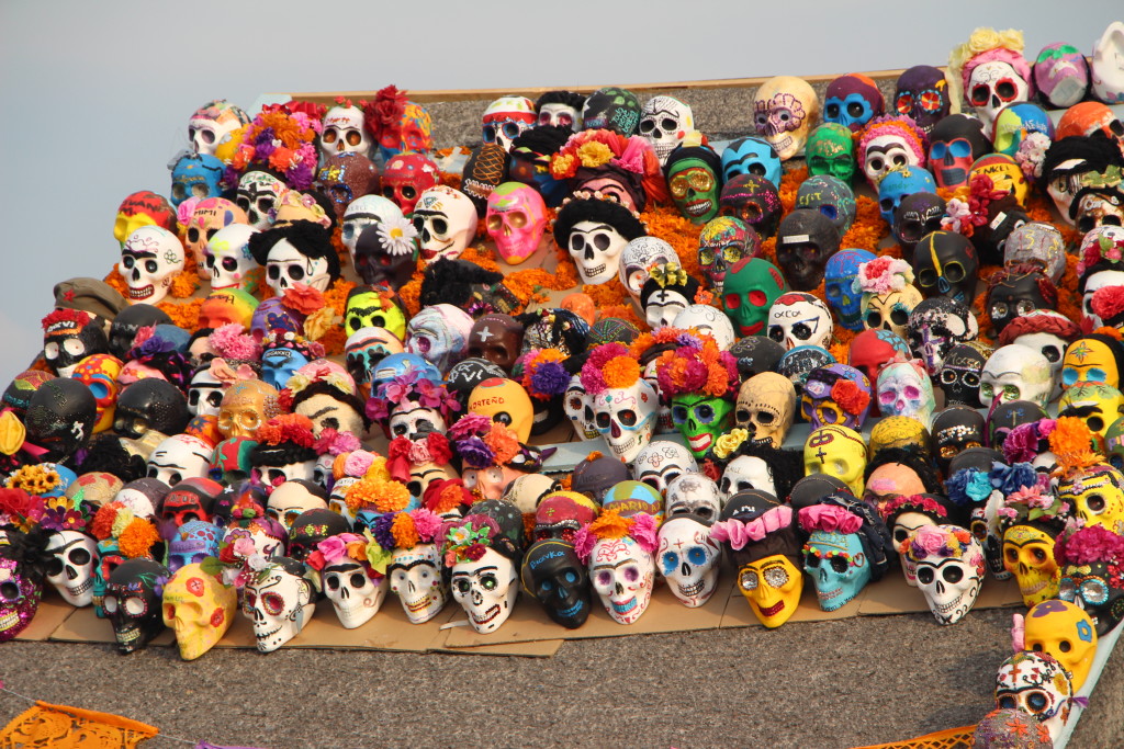 a bunch of skulls 