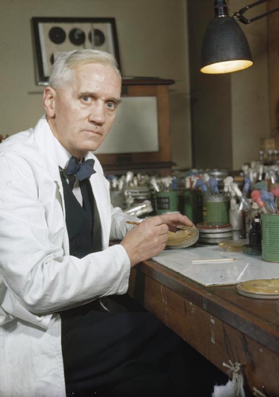 the discovery of penicillin  