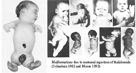 effects of thalidomide