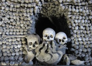 thousands of bones