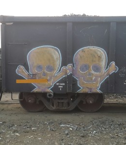 skulls on a train