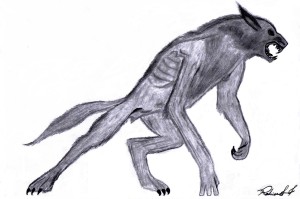 drawing of a werewolf