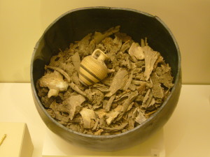 cremated human remains
