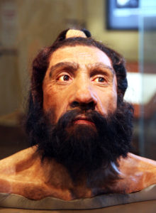 Homo neanderthalensis adult male
