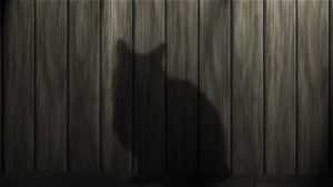 shadow of a cat 