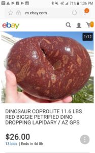 dinosaur coprolite